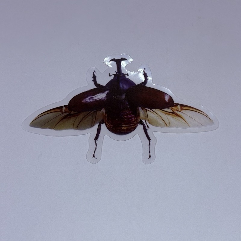 Rhinoceros Beetle Sticker Realistic Insect Art Transparent Decal Vinyl Tc9