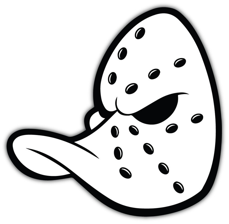 Anaheim Mighty Ducks NHL Car Bumper Sticker Decal ID:6 “SIZES”