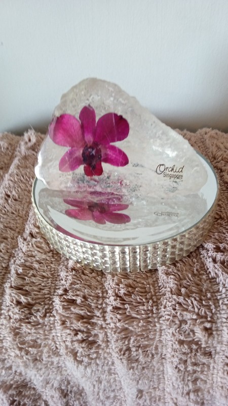 The Real Orchid Singapore Purple Flower Preserved In Resin on Mirror ~