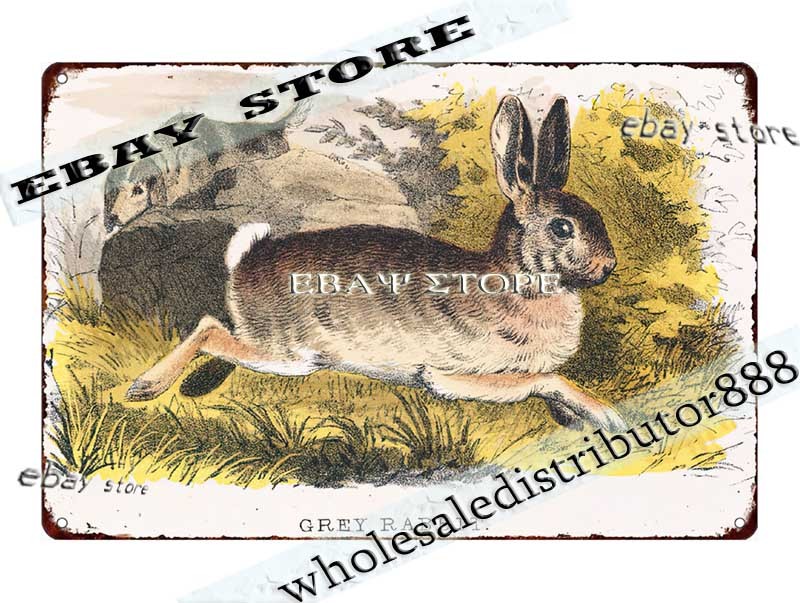 Tin Sign 1860s Gray Rabbit Wildlife Animal Illustration Louis Prang farm shop