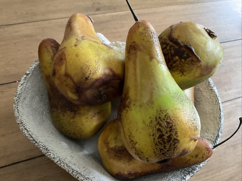 Artificial Green & Brown Pears Fake Fruit Lifelike Decorative Lot Of 6