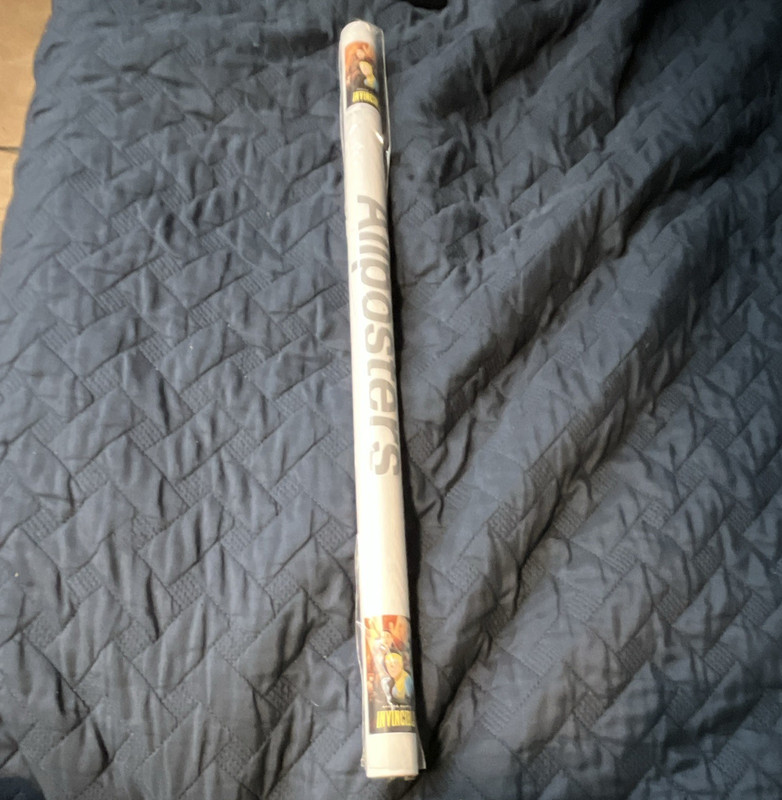 AllPosters Invincible Comics Poster 22.375 x 34 in Paper Vertical Multicolor