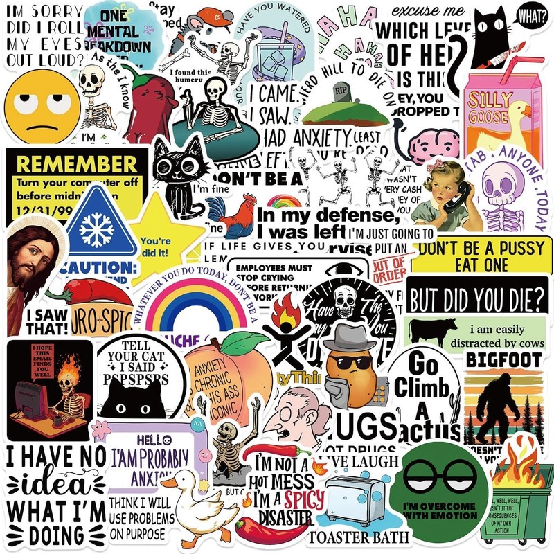 50PCS Funny Meme Stickers Adult Sarcastic Waterproof Vinyl Laptop Decals