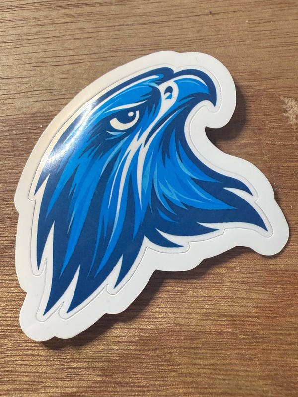 STICKER the infamous "blue Falcon" BF Army Navy Air Force USMC military USA gallery