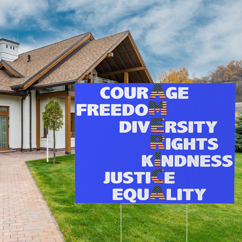 Courage Freedom Diversity Rights Kindness Justice Equality, Pro America Values