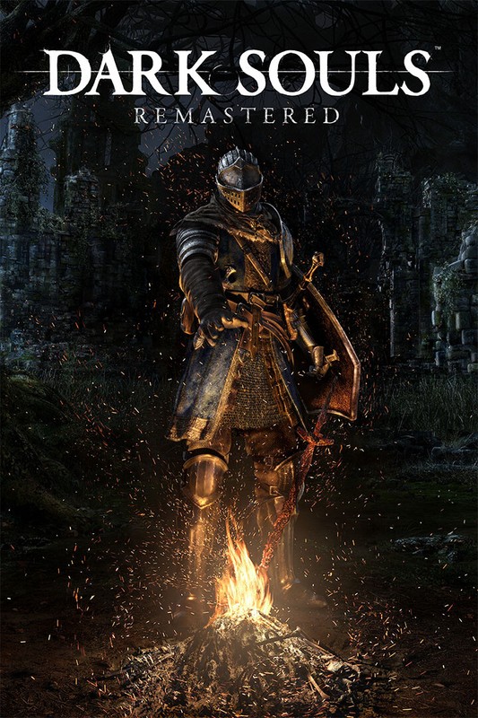 Dark Souls Video Game Role Playing Game Action Wall Art Home – POSTER 20×30