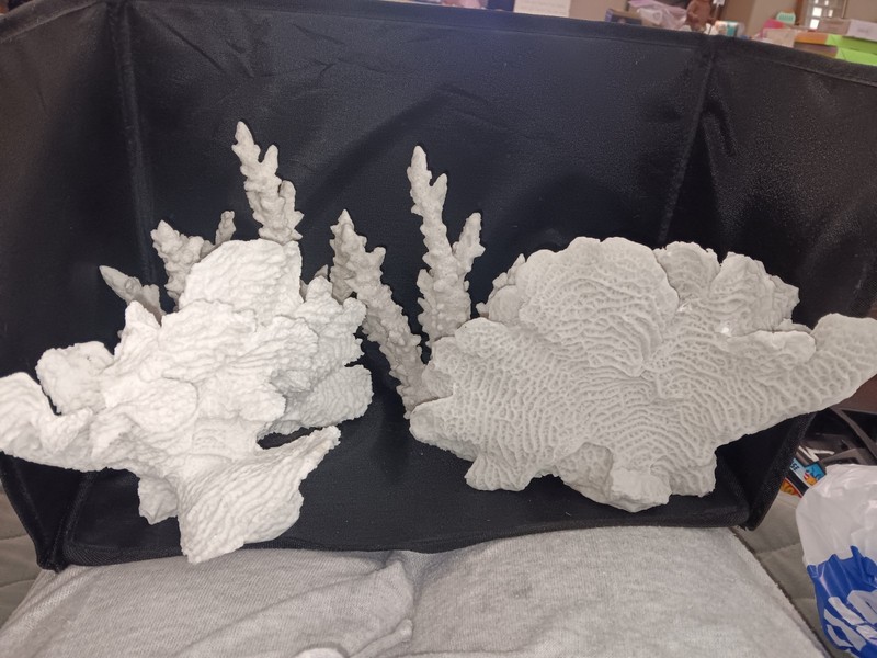 Coral Sculptures Beautiful . Set Of 4.