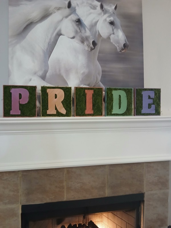 PRIDE lgbtq Moss Letters Decor