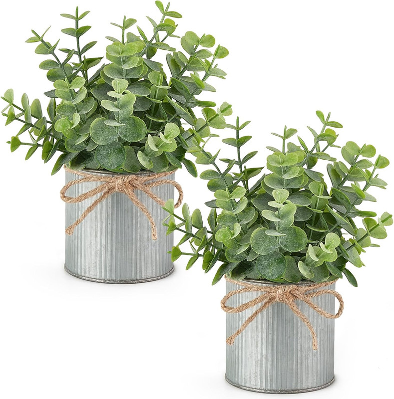 2 Packs Small Fake Plants in Farmhouse Galvanized Pots Table Centerpiece Mini Fa
