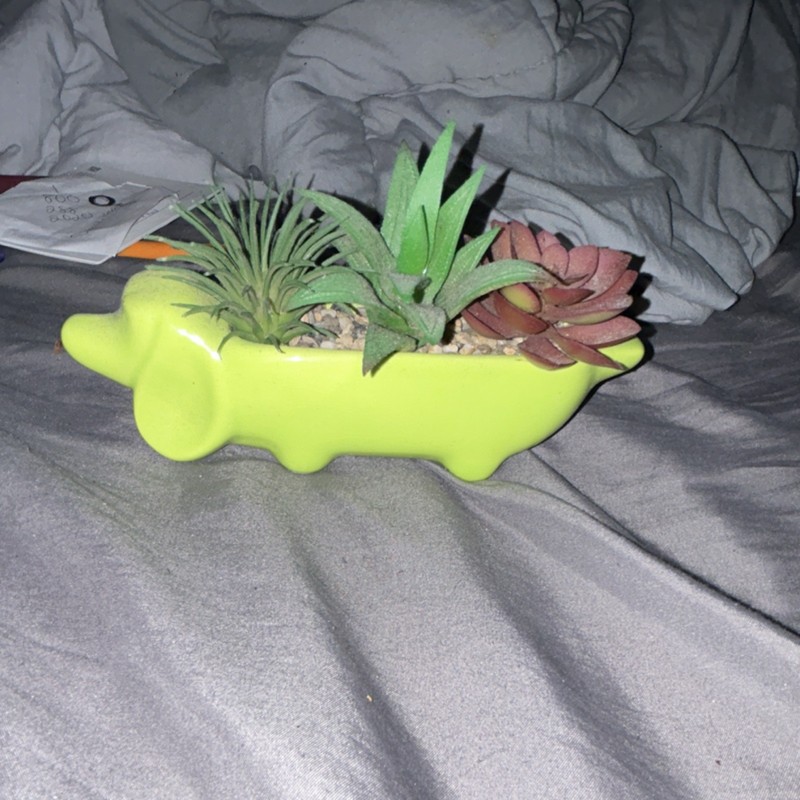 Artificial Succulent Arrangement in Green Animal-Shaped Ceramic Planter