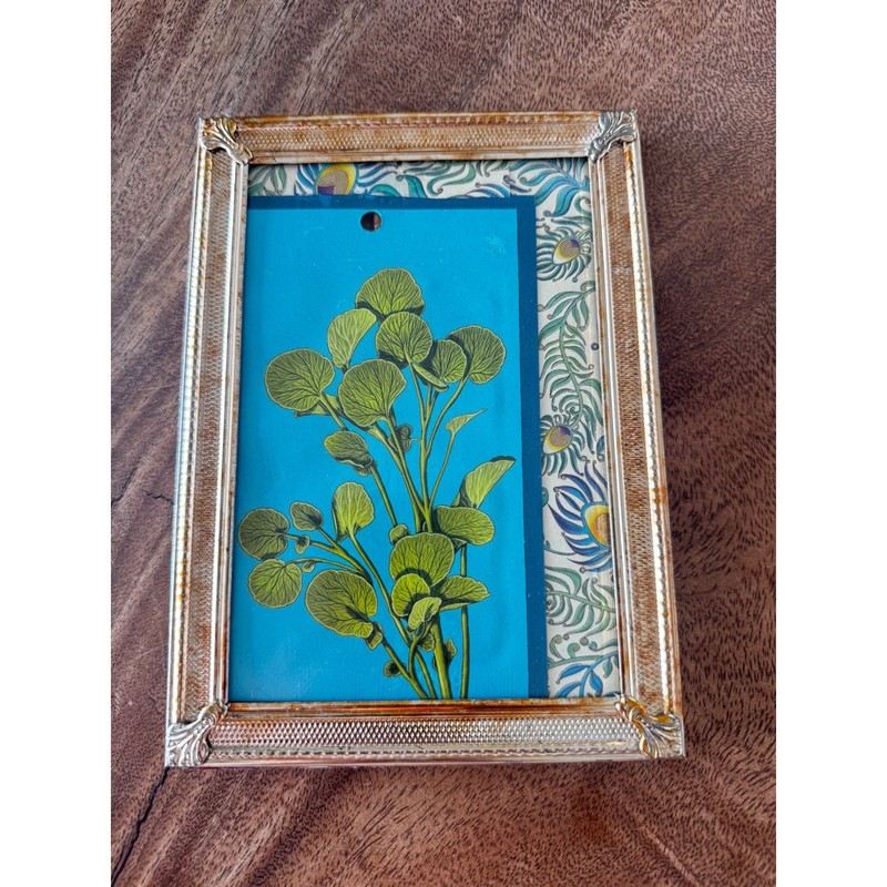 Vintage Botanical Framed Art Set 5pc Gallery Wall Decor Poppies Cactus Pickles gallery