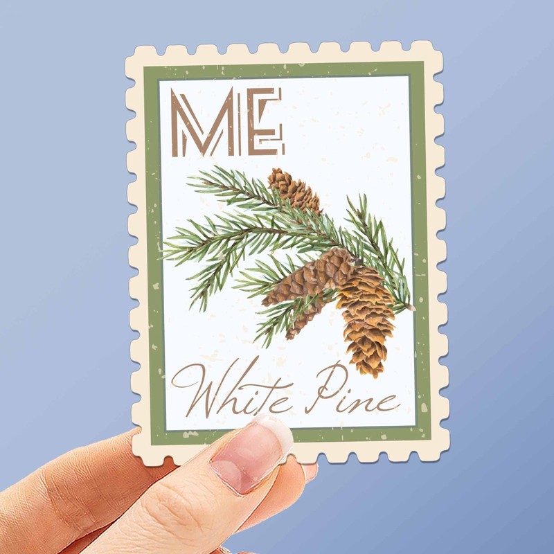 Maine State Flower White Pine Sticker – ME Vintage Stamp Decal