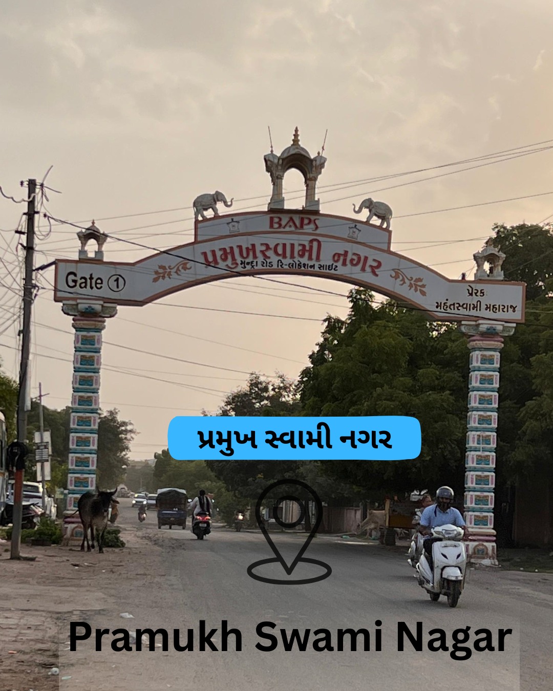 WhatsApp Image 2025-11-14 at 6.17.25 PM